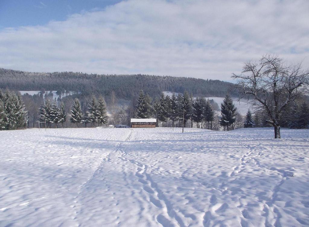 Appartamento Jasionka 2 Ustrzyki Dolne Esterno foto